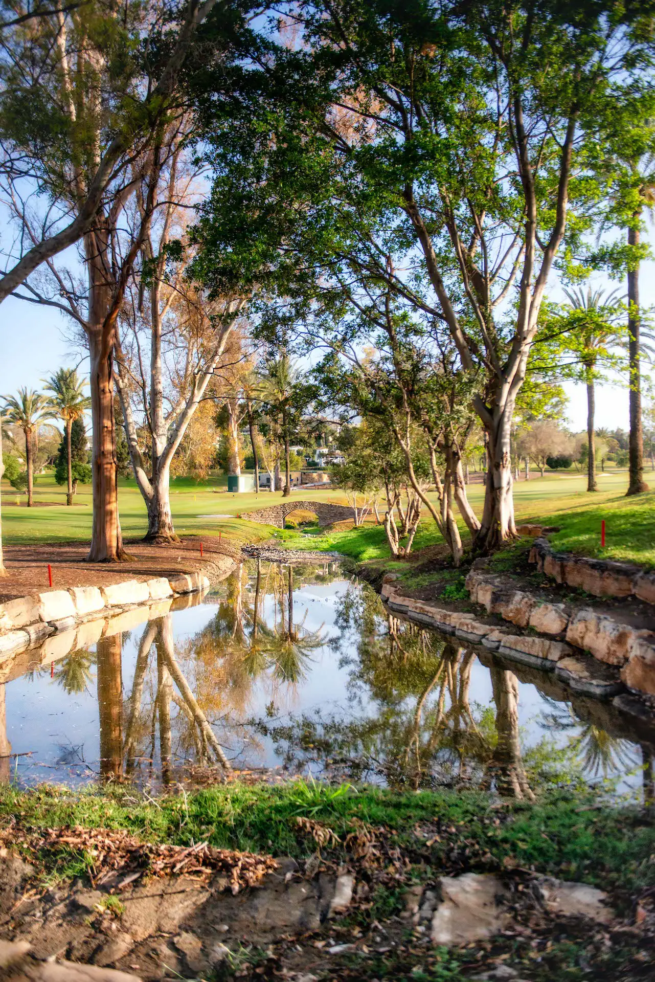 Clases de Golf, El Paraiso, la elección