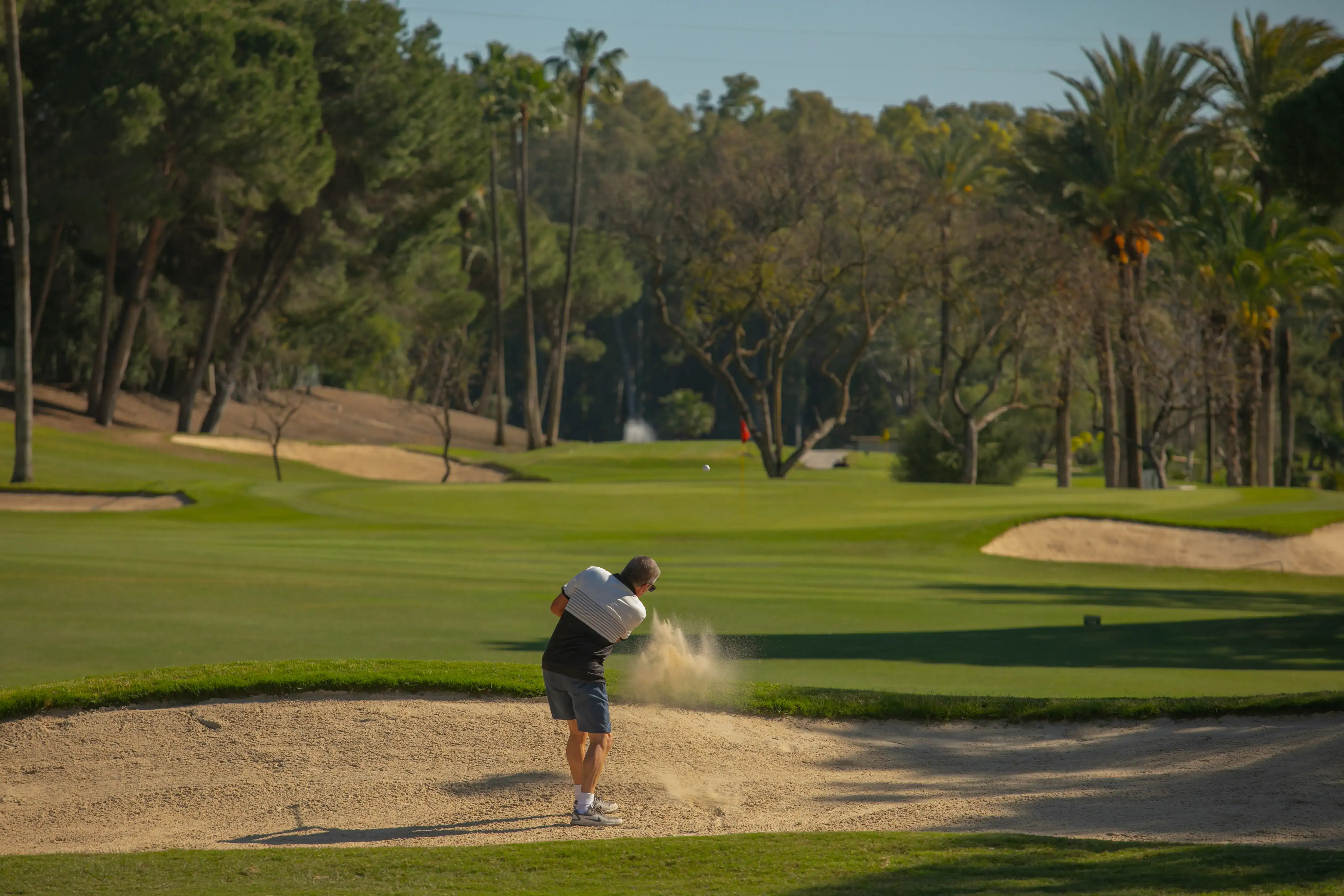Los mejores hoyos de golf de Estepona en el Club de Golf El Paraíso