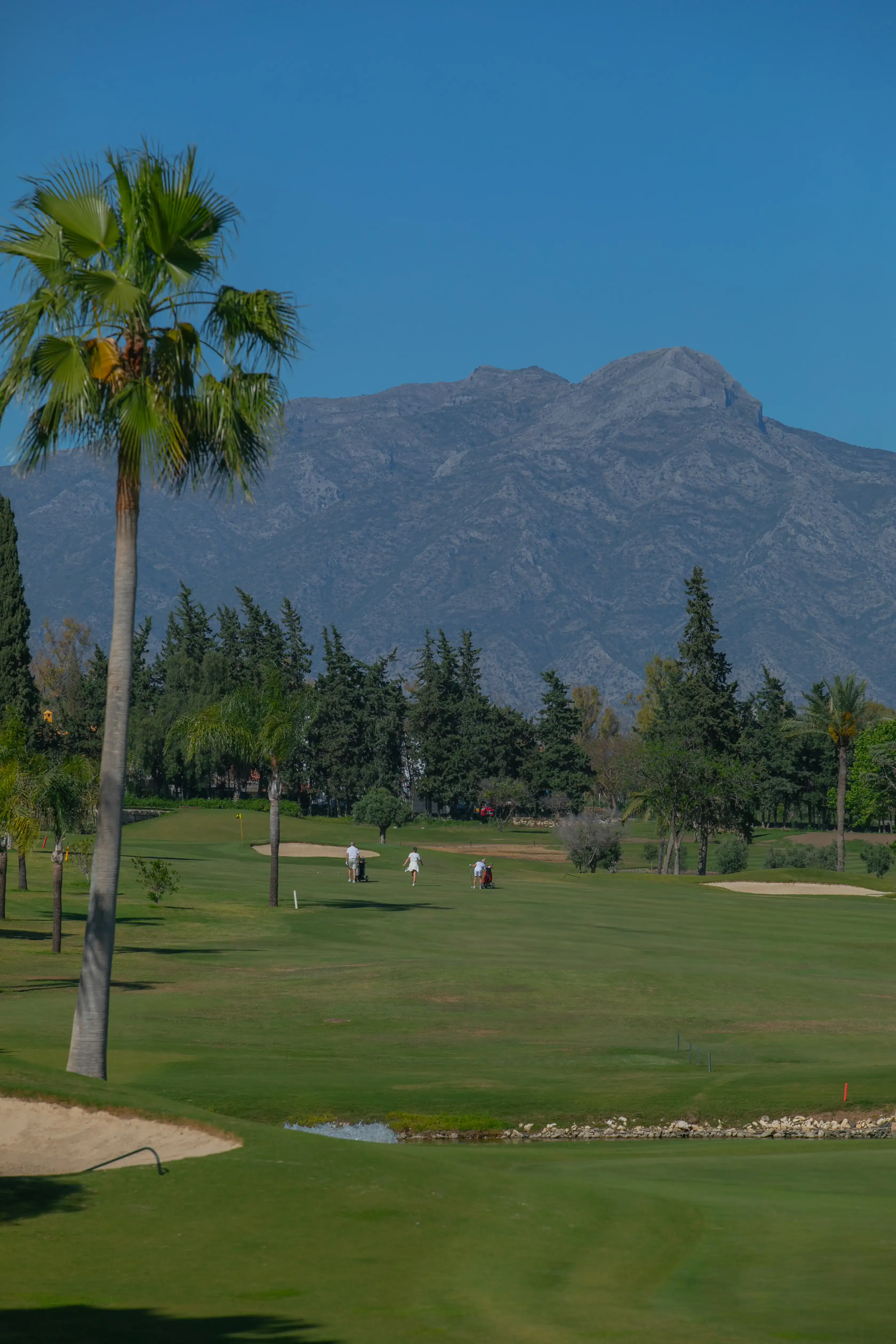 Los mejores hoyos de golf de Estepona en el Club de Golf El Paraíso
