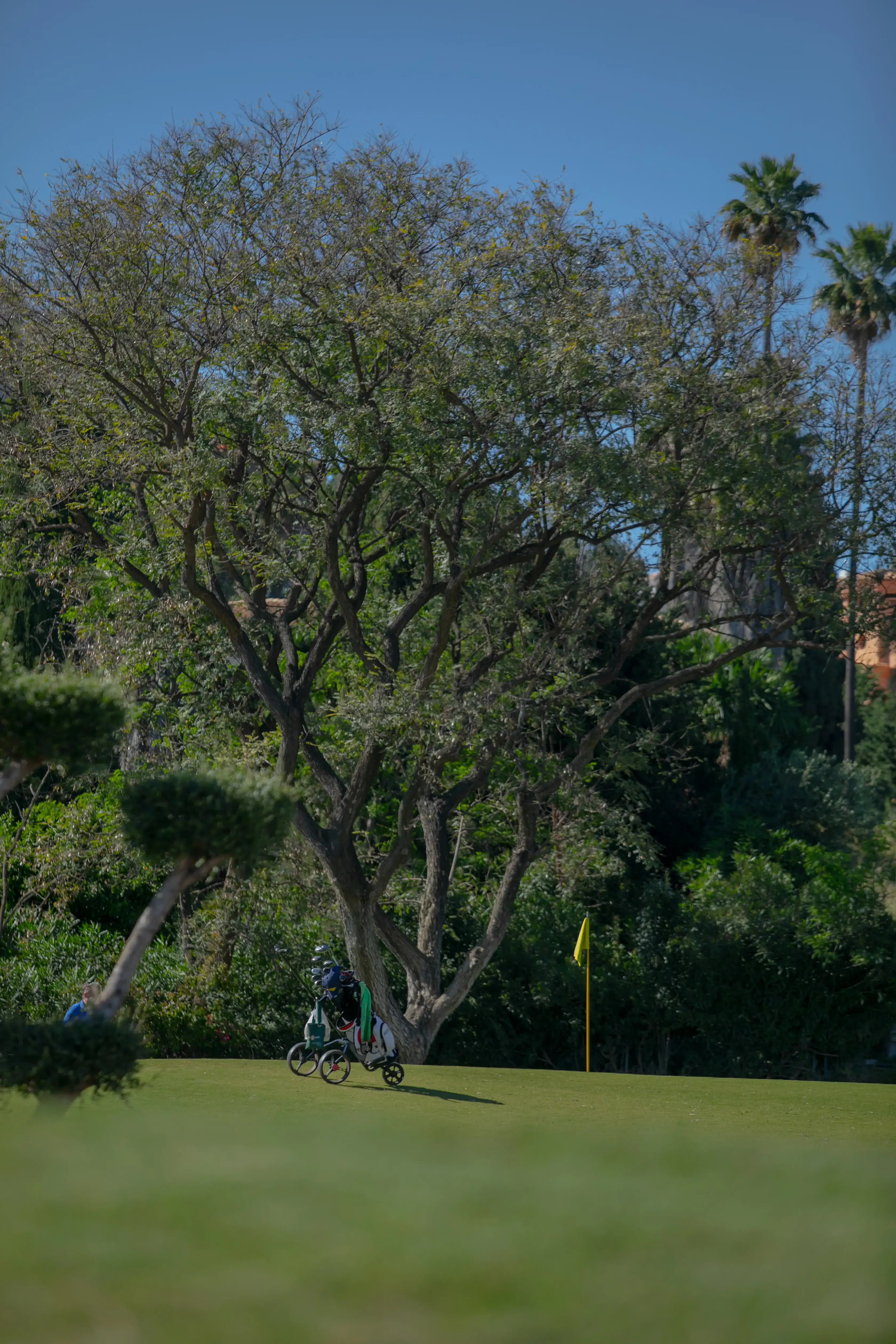 Club de Golf Marbella, Club de Golf El Paraíso, 10 razones por las que los golfistas vuelven