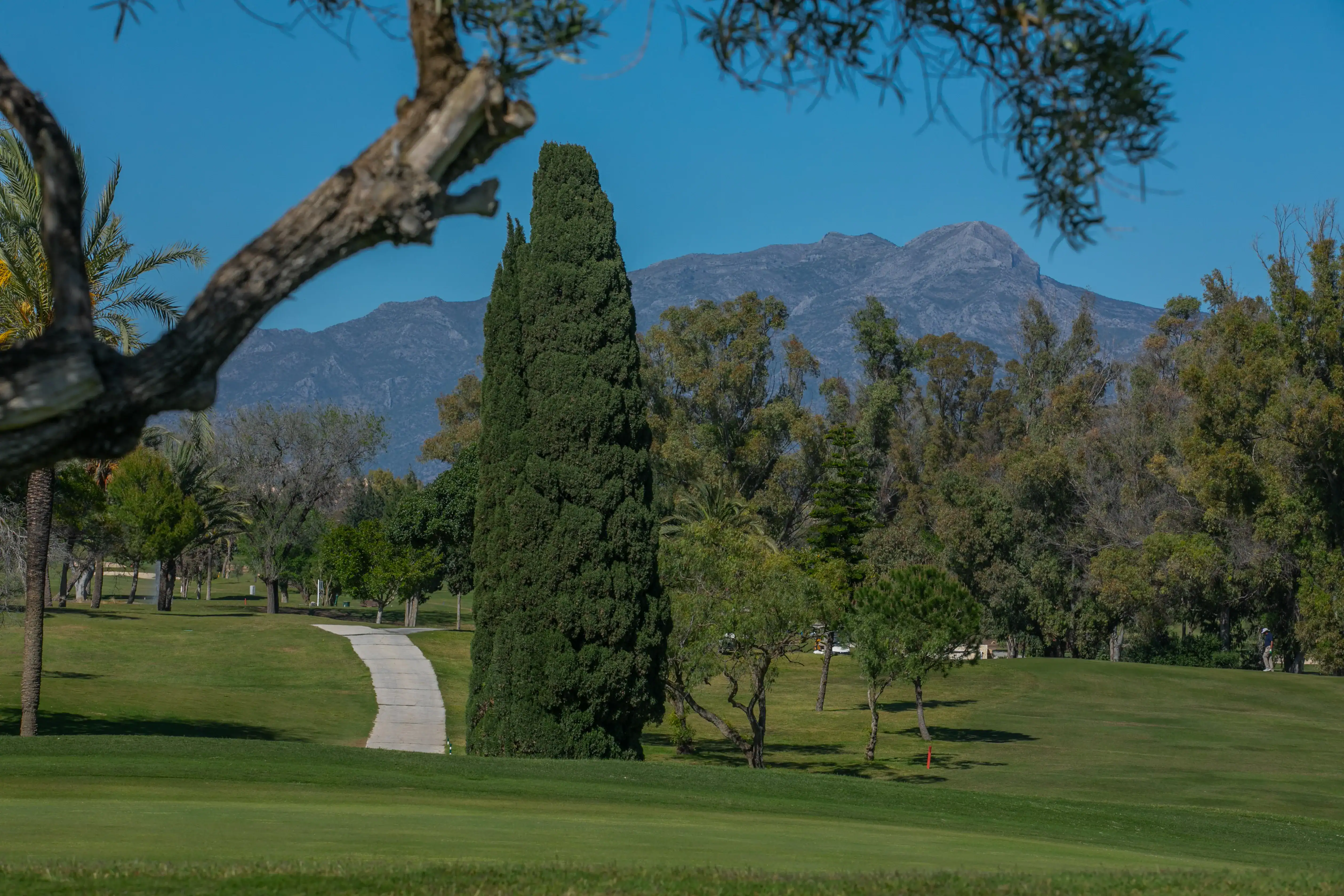 Club de Golf Marbella, Club de Golf El Paraíso, 10 razones por las que los golfistas vuelven