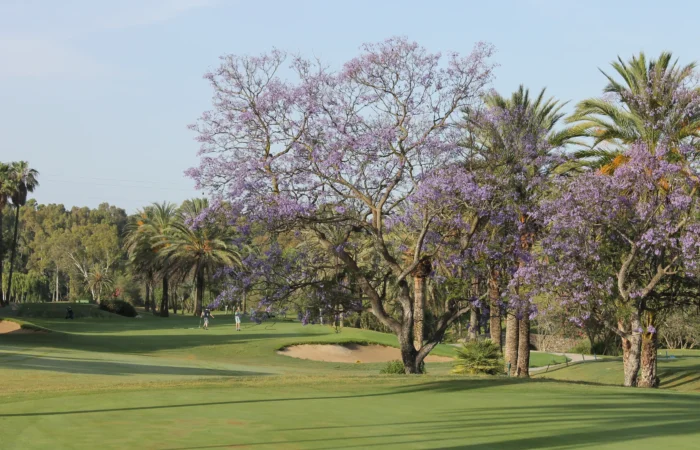 Seasons at El Paraíso, all yeah is golf season