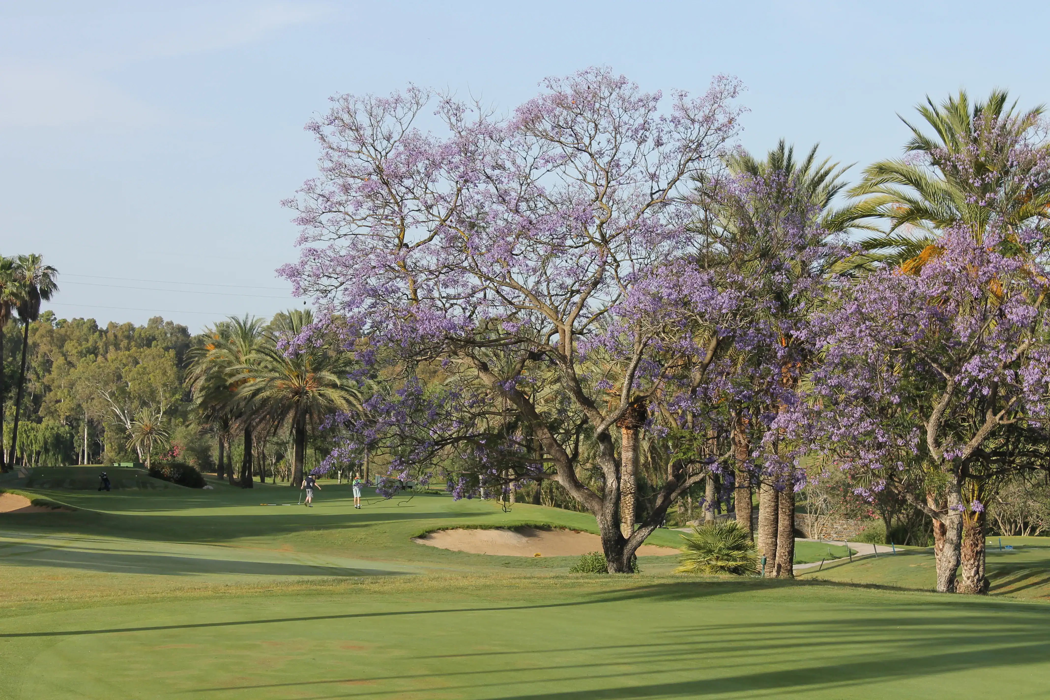 Seasons at El Paraíso, all yeah is golf season