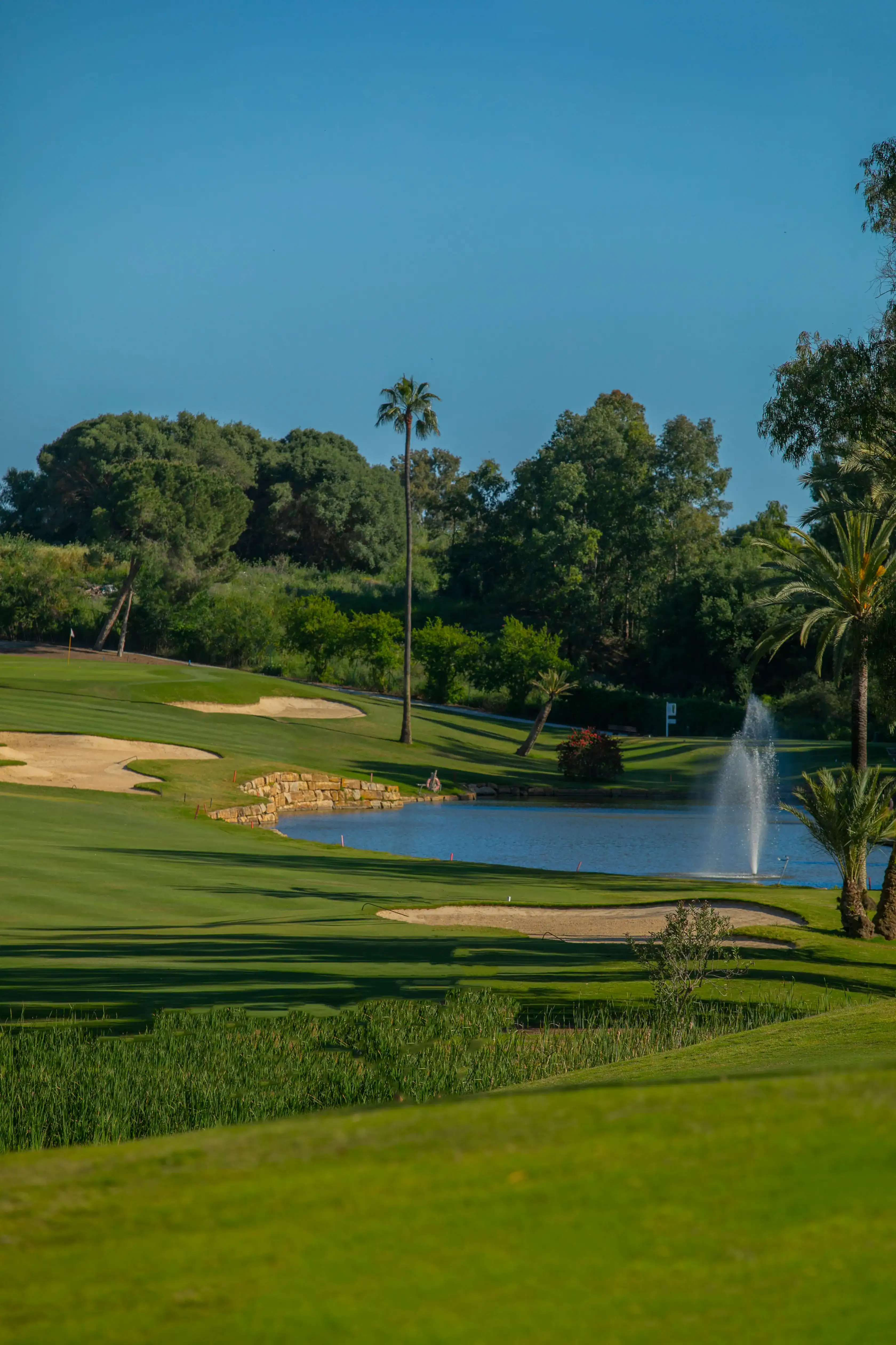 Water and Fairways, El Paraíso Golf Club