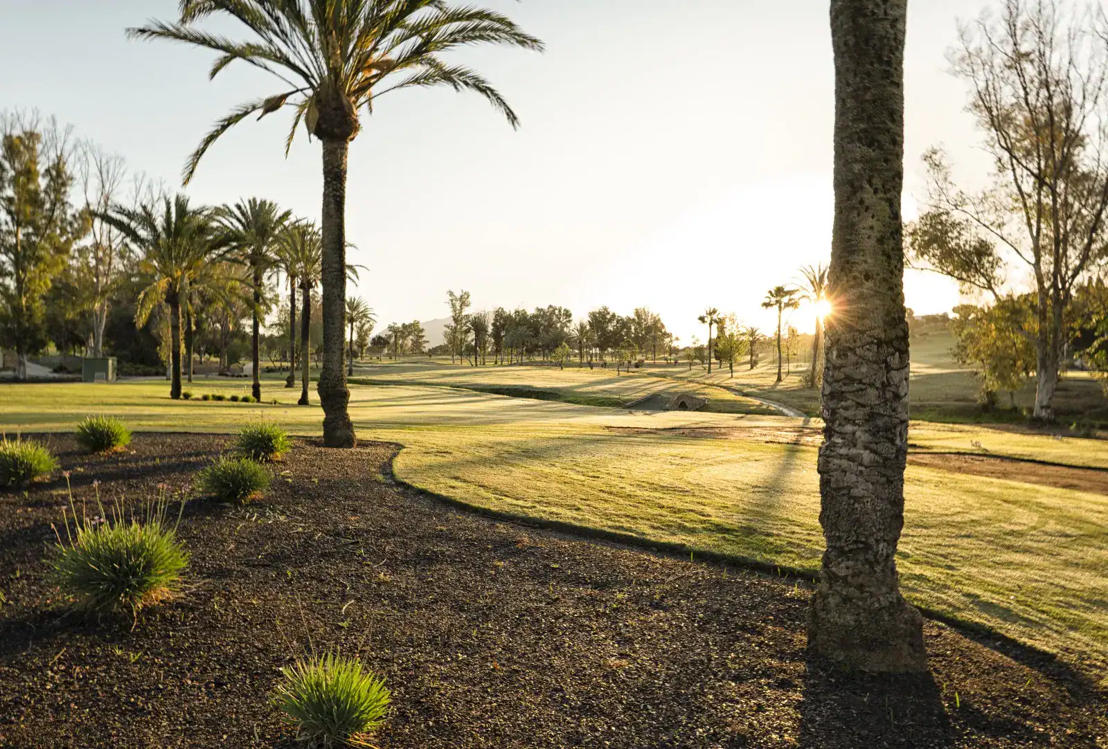 Golf Course Estepona Malaga