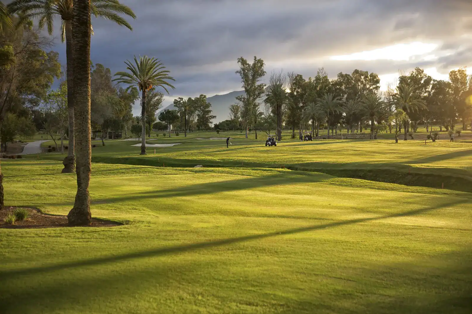 Golf Course Estepona Malaga