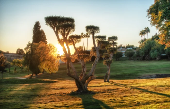 The Community at El Paraíso