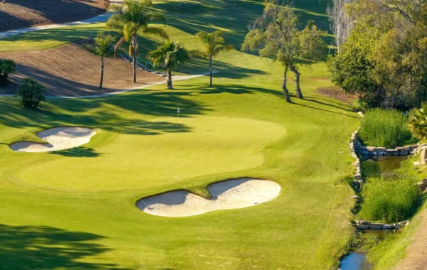 Membership Benefits of El Paraíso Golf Club, friendship and golf