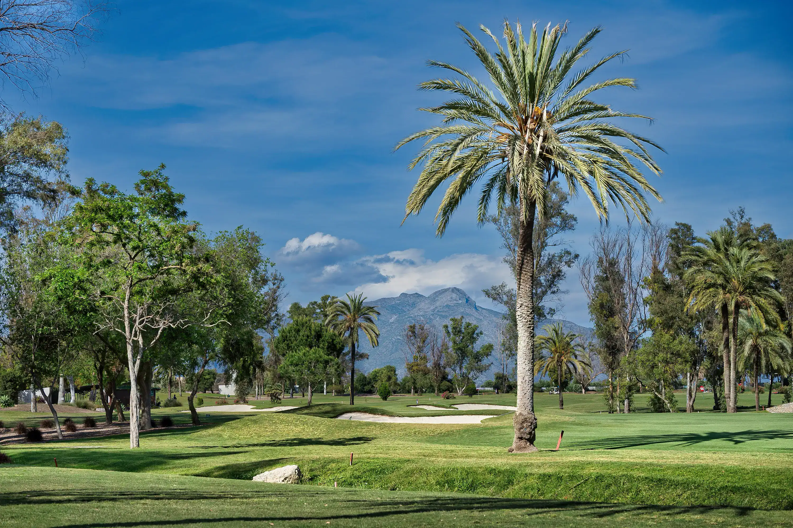 El Paraiso Golf Club - Estepona, Malaga Spain - Golf club 11 5